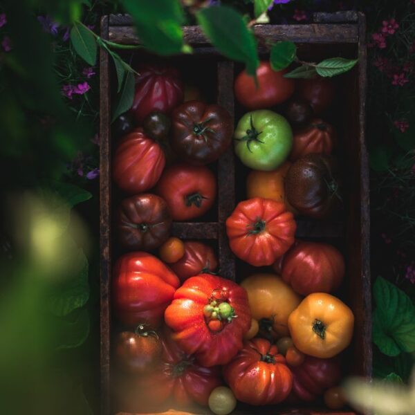 Heirloom Tomatoes