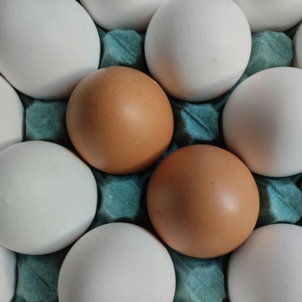 Farm-Fresh Brown Eggs